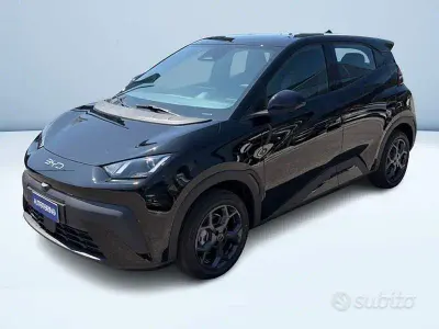 Usata BYD Dolphin Surf