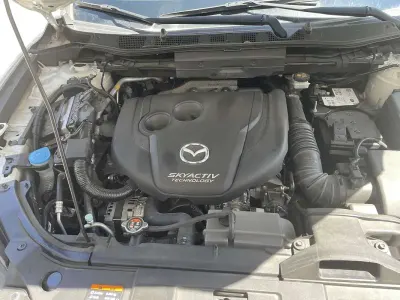 Usata Mazda CX-5 Evolve 150 CV (110 kW) 2013 SUV