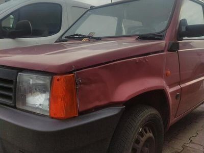 usata Fiat Panda 1100 i.e. cat Young