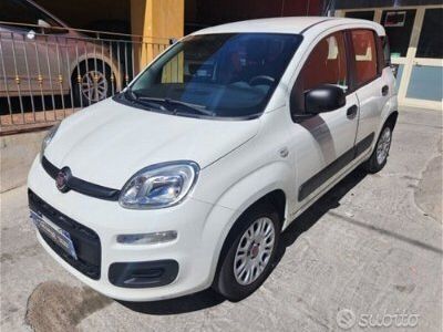 usata Fiat Panda 1.2 benzina 2019