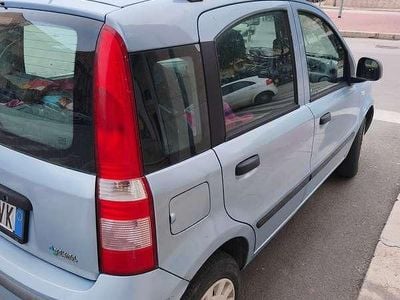 Usata Fiat Panda Cross 60 CV (44 kW) 2009 Blu/azzurro Utilitaria