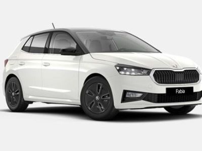 usata Skoda Fabia 1.0 tsi evo style 110cv dsg