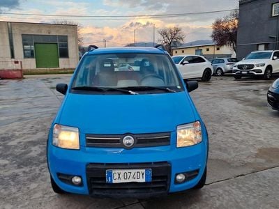 Usata Fiat Panda 4x4 74 CV (54 kW) 2006 Blu Utilitaria