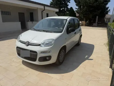 Usata Fiat Panda 95 CV (69 kW) 2016 Bianco Utilitaria