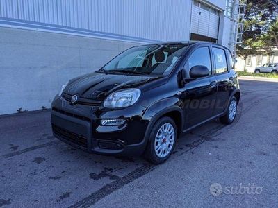 usata Fiat Panda Panda My23 1.0 70cv Hybrid