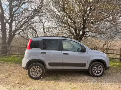 Usata Fiat Panda 4x4 85 CV (62 kW) 2018 Grigio Utilitaria
