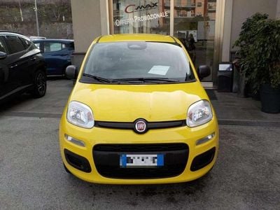Nuova Fiat Panda Icon 69 CV (50 kW) 2025 Multicolore(met.) Utilitaria