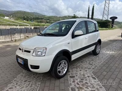 Usata Fiat Panda 4x4 Climbing 75 CV (55 kW) 2012 Bianco Utilitaria