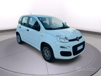 Usata Fiat Panda 69 CV (50 kW) 2019 Bianco Utilitaria