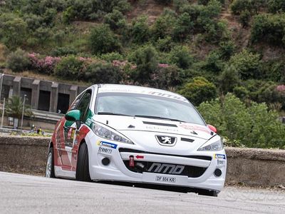 Usata Peugeot 207 2004