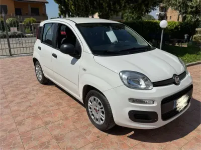 Usata Fiat Panda City Life 69 CV (50 kW) 2021 Bianco Utilitaria