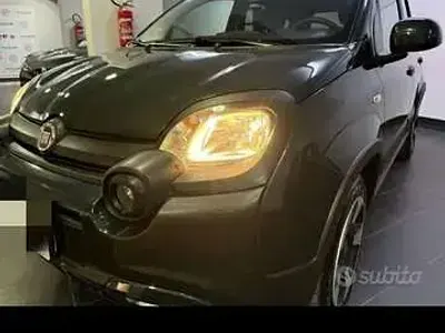 Usata Fiat Panda Cross Cross 69 CV (50 kW) 2023 Utilitaria