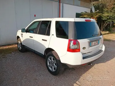 Usata Land Rover Freelander 2 160 CV (117 kW) 2009 Bianco SUV