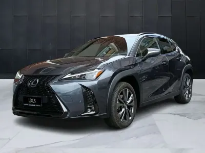 Usata Lexus UX 250h 184 CV (135 kW) 2023 Grigio SUV