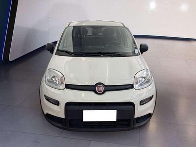 Usata Fiat Panda S 69 CV (50 kW) 2023 Bianco Utilitaria