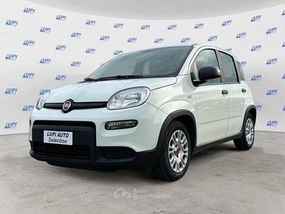 Usata Fiat Panda S 70 CV (51 kW) 2023 Bianco Utilitaria