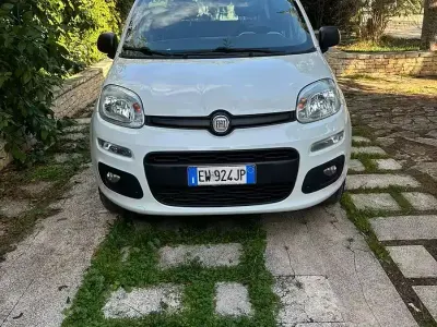 Usata Fiat Panda Easy 85 CV (62 kW) 2014 Bianco Utilitaria