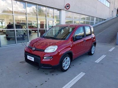 usata Fiat Panda Panda 1.0 70cv hybrid