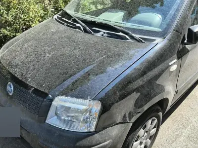 Usata Fiat Panda