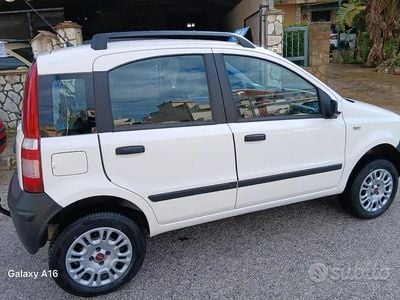Usata Fiat Panda 4x4 2008 Bianco Utilitaria