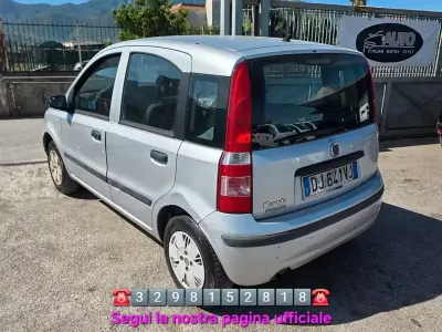 Usata Fiat Panda 60 CV (44 kW) 2008 Grigio Utilitaria