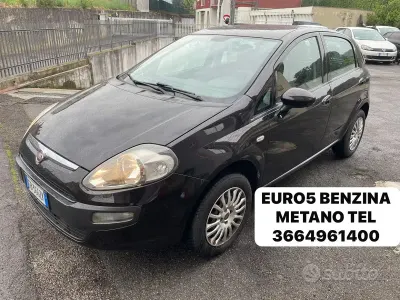 Usata Fiat Punto Evo Dynamic 70 CV (51 kW) 2010 Nero Utilitaria