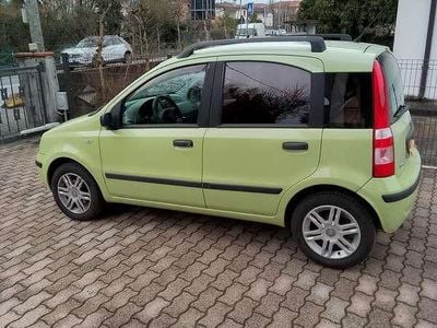 Usata Fiat Panda Dynamic 60 CV (44 kW) 2005 Verde Utilitaria