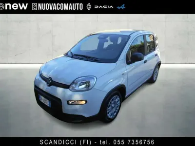 Usata Fiat Panda Cross Cross 69 CV (50 kW) 2025 Bianco Utilitaria