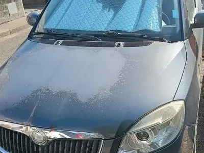 Usata Skoda Fabia