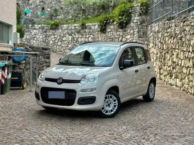 Usata Fiat Panda Easy 69 CV (50 kW) 2013 Giallo Utilitaria