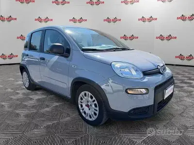 Usata Fiat Panda
