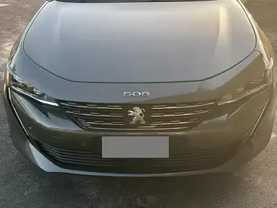 Gebraucht Peugeot 508 131 PS (96 kW) 2020 Braun Kombi