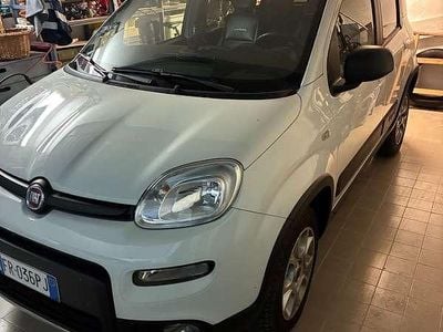 Usata Fiat Panda 4x4 S 95 CV (69 kW) 2018 Bianco Utilitaria