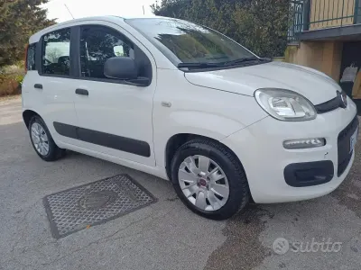 Usata Fiat Panda