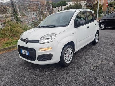Begagnad Fiat Panda Easy 69 HK (50 kW) 2020 Vit Halvkombi