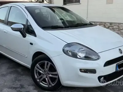 Usata Fiat Punto Evo 75 CV (55 kW) 2013 Bianco Utilitaria