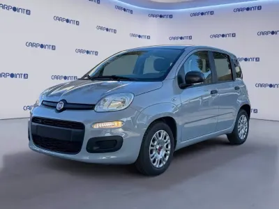 Usata Fiat Panda City Life 69 CV (50 kW) 2022 Grigio Utilitaria