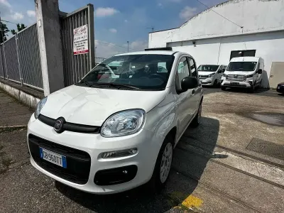 Usata Fiat Panda Easy 70 CV (51 kW) 2020 Bianco Utilitaria