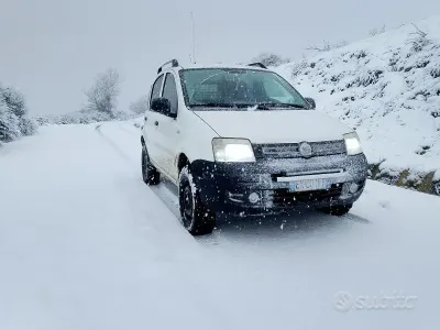 Usata Fiat Panda 4x4 75 CV (55 kW) 2011 Bianco Utilitaria