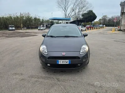 Usata Fiat Punto Lounge 69 CV (50 kW) 2016 Grigio Utilitaria