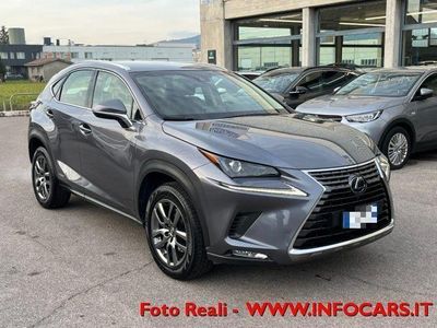 usata Lexus NX300 Hybrid Business Iva Esposta