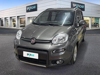 Usata Fiat Panda City Life 70 CV (51 kW) 2022 Grigio Utilitaria