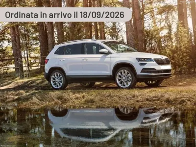 Usata Skoda Karoq