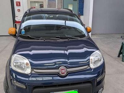 Usata Fiat Panda 4x4 S 95 CV (69 kW) 2016 Blu Utilitaria