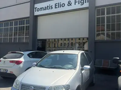 Usata Fiat Punto Active 69 CV (50 kW) 2010 Grigio Utilitaria