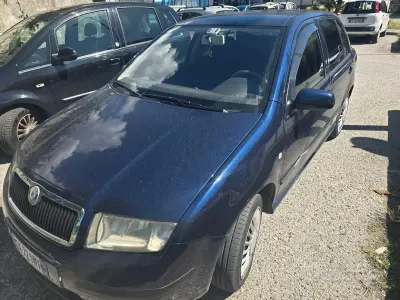 Usata Skoda Fabia