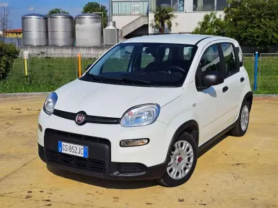Usata Fiat Panda S 69 CV (50 kW) 2023 Bianco Utilitaria