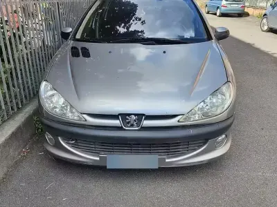 Usata Peugeot 206