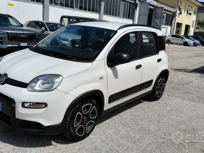 Usata Fiat Panda S 71 CV (52 kW) 2021 Bianco Utilitaria