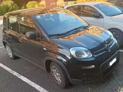 Usata Fiat Panda Easy 69 CV (50 kW) 2024 Nero Utilitaria